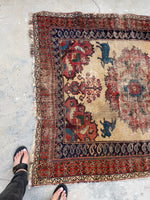 [vintage rugs] - Blue Parakeet Rugs