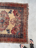 [vintage rugs] - Blue Parakeet Rugs