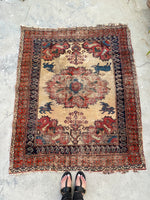 [vintage rugs] - Blue Parakeet Rugs