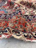[vintage rugs] - Blue Parakeet Rugs
