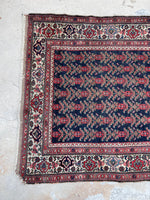 [vintage rugs] - Blue Parakeet Rugs