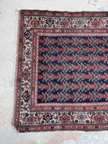 [vintage rugs] - Blue Parakeet Rugs