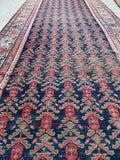 [vintage rugs] - Blue Parakeet Rugs