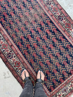 [vintage rugs] - Blue Parakeet Rugs
