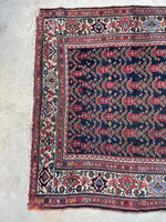[vintage rugs] - Blue Parakeet Rugs