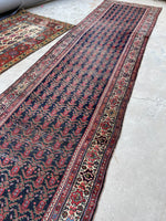 [vintage rugs] - Blue Parakeet Rugs