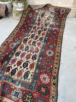 [vintage rugs] - Blue Parakeet Rugs