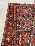 [vintage rugs] - Blue Parakeet Rugs