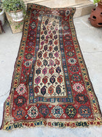 [vintage rugs] - Blue Parakeet Rugs