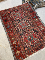 [vintage rugs] - Blue Parakeet Rugs