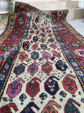 [vintage rugs] - Blue Parakeet Rugs
