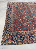 8'8 x 11'8 Antique Persian Heriz rug #2564ML - Blue Parakeet Rugs