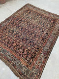 [vintage rugs] - Blue Parakeet Rugs