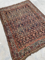 [vintage rugs] - Blue Parakeet Rugs