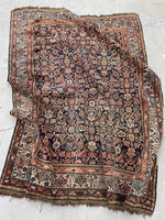 [vintage rugs] - Blue Parakeet Rugs