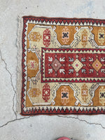 [vintage rugs] - Blue Parakeet Rugs