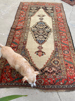 4'1 x 7'6 Antique Ivory Persian Bidjar rug #2431 - Blue Parakeet Rugs