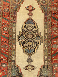 4'1 x 7'6 Antique Ivory Persian Bidjar rug #2431 - Blue Parakeet Rugs