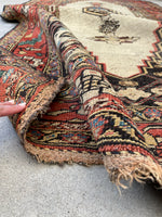 4'1 x 7'6 Antique Ivory Persian Bidjar rug #2431 - Blue Parakeet Rugs