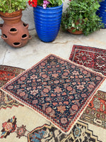 3'6 x 4' Antique Diamond Shaped Persian rug #2435ML / 4x4 Persian rug - Blue Parakeet Rugs