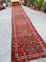 [vintage rugs] - Blue Parakeet Rugs