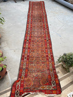 [vintage rugs] - Blue Parakeet Rugs