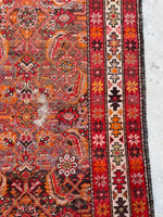 [vintage rugs] - Blue Parakeet Rugs