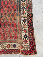 3'1 x 8'8 Antique Loveworn Paisley Runner #2085 / 3x9 Vintage Runner - Blue Parakeet Rugs