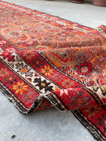 [vintage rugs] - Blue Parakeet Rugs