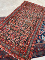 3'2 x 6'9 Antique Persian Bakhtiari rug #2437 / Small Persian Rug - Blue Parakeet Rugs