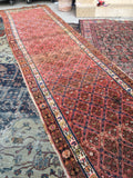 3'10 x 16'5 dated antique Persian rug (#873) - Blue Parakeet Rugs