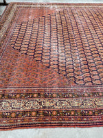 [vintage rugs] - Blue Parakeet Rugs
