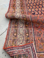 [vintage rugs] - Blue Parakeet Rugs