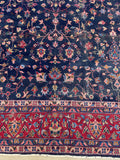 8'8 x 11'8 Antique Sparta rug #2438 / 9x12 Antique Sparta - Blue Parakeet Rugs