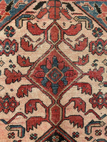 3'4 x 5'6 Antique Blush Persian Malayer scatter rug #2250 / 3x6 Vintage Rug - Blue Parakeet Rugs
