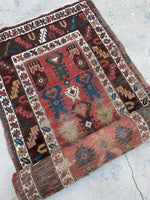 [vintage rugs] - Blue Parakeet Rugs