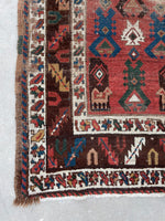 [vintage rugs] - Blue Parakeet Rugs