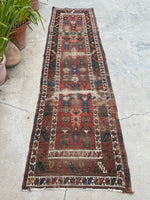 [vintage rugs] - Blue Parakeet Rugs