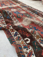 [vintage rugs] - Blue Parakeet Rugs