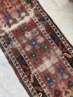 [vintage rugs] - Blue Parakeet Rugs
