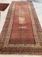 5'6 x 11'9 Worn Kurdish Rug #1936 / 6x12 vintage rug - Blue Parakeet Rugs
