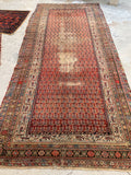 5'6 x 11'9 Worn Kurdish Rug #1936 / 6x12 vintage rug - Blue Parakeet Rugs