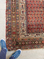 5'6 x 11'9 Worn Kurdish Rug #1936 / 6x12 vintage rug - Blue Parakeet Rugs
