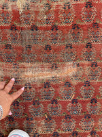 5'6 x 11'9 Worn Kurdish Rug #1936 / 6x12 vintage rug - Blue Parakeet Rugs