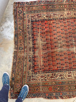 5'6 x 11'9 Worn Kurdish Rug #1936 / 6x12 vintage rug - Blue Parakeet Rugs