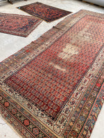 5'6 x 11'9 Worn Kurdish Rug #1936 / 6x12 vintage rug - Blue Parakeet Rugs