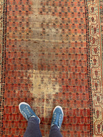 5'6 x 11'9 Worn Kurdish Rug #1936 / 6x12 vintage rug - Blue Parakeet Rugs