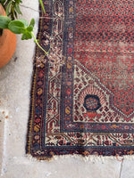 [vintage rugs] - Blue Parakeet Rugs