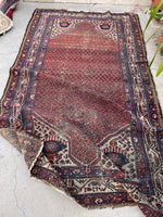 [vintage rugs] - Blue Parakeet Rugs