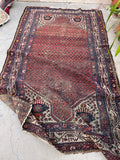 [vintage rugs] - Blue Parakeet Rugs